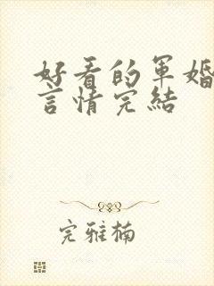 好看的军婚小说言情完结