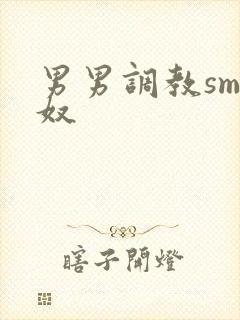 男男调教sm男奴