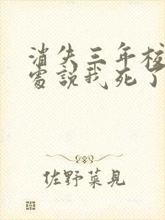 消失三年校花到处说我死了免费阅读封面