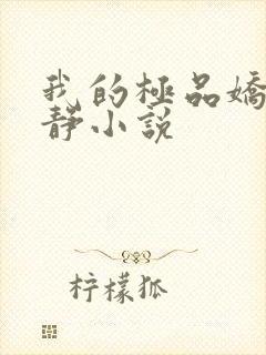 我的极品娇妻张静小说