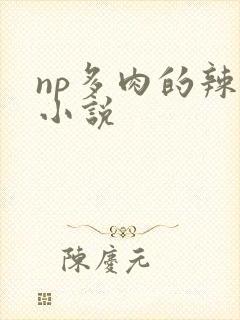 np多肉的辣文小说封面