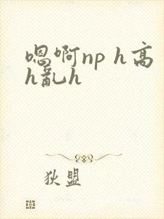 嗯啊np h高h乱h
