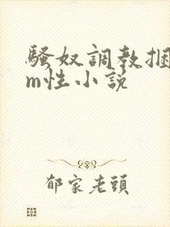 骚奴调教捆绑sm性小说