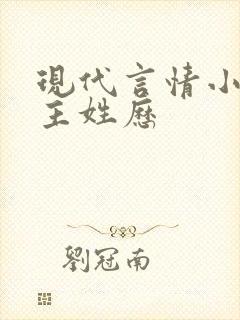 现代言情小说男主姓历封面