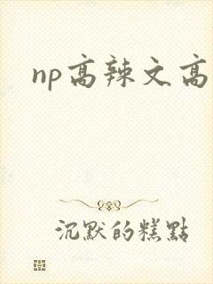 np高辣文高h