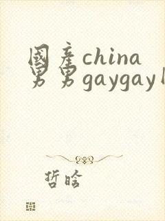 国产china男男gaygay网站