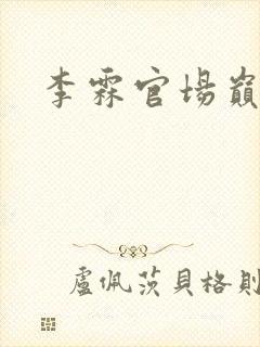 李霖官场巅峰封面