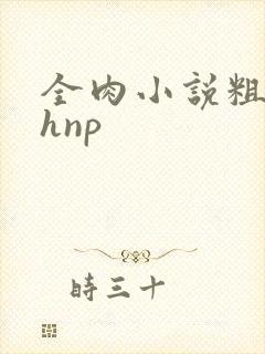 全肉小说粗暴高hnp封面