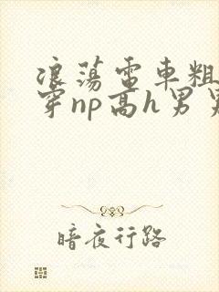 浪荡电车粗大贯穿np高h男男