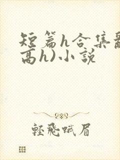 短篇h合集乱(高h)小说
