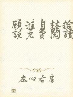 顾淮月林拾安小说免费阅读最新章节