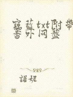 窃蓝txt附带番外网盘