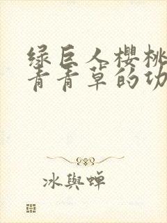 绿巨人樱桃荔枝青青草的功效