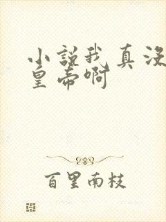 小说我真没想当皇帝啊