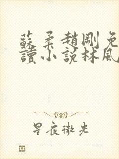 苏柔赵刚免费阅读小说林风