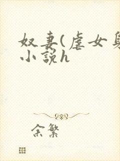奴妻(虐女身)小说h封面
