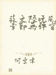 苏文陆晚风最新章节无弹窗笔趣阁