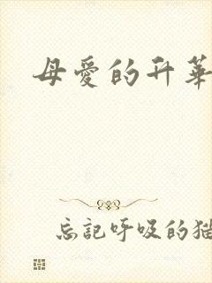 母爱的升华