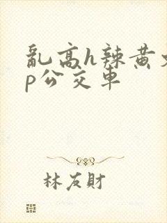 乱高h辣黄文np公交车