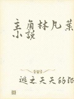 主角林凡叶惜的小说封面