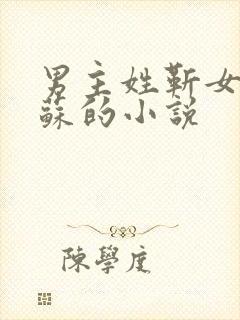 男主姓靳女主姓苏的小说