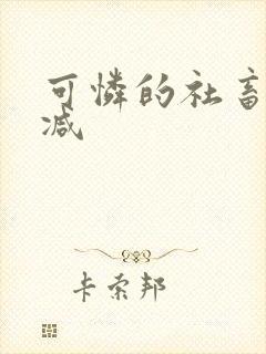 可怜的社畜未删减