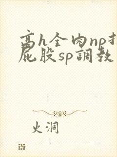 高h全肉np打屁股sp调教