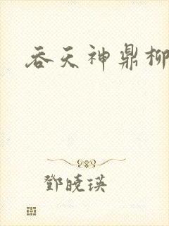 吞天神鼎柳无邪