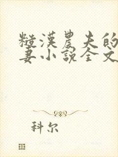 糙汉农夫的小娇妻小说全文阅读