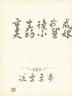 重生后我成了前夫的小舅娘免费