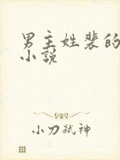 男主姓裴的现代小说