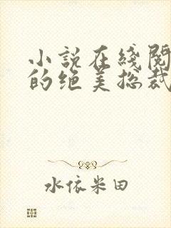 小说在线阅读我的绝美总裁老婆