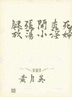 腿张开爽死你个放荡小淫妇小说