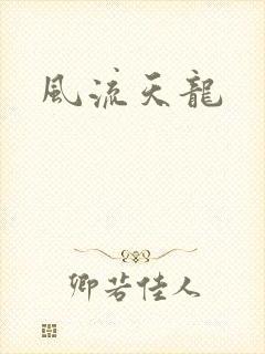风流天龙封面