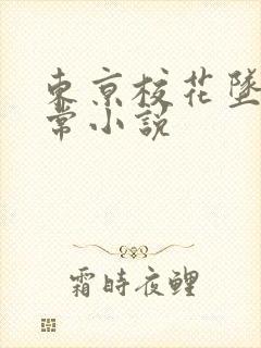 东京校花坠落日常小说