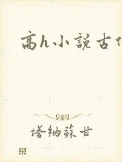 高h小说古代乱