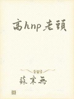 高hnp老头
