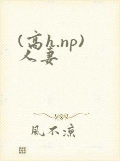 (高h.np)人妻