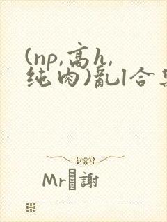 (np,高h,纯肉)乱l合集