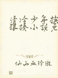 清冷少年挨爸爸狠揍小说免费阅读全