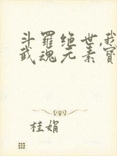 斗罗绝世,我的武魂元素宝典封面