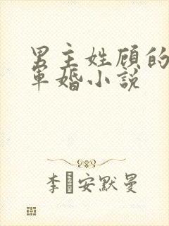 男主姓顾的所有军婚小说