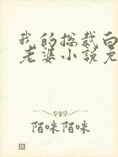 我的总裁白富美老婆小说免费在线听