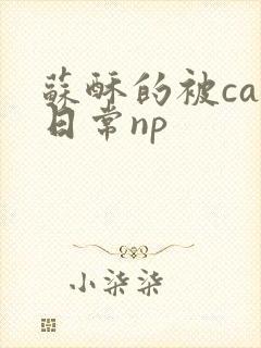 苏酥的被cao日常np