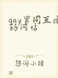 gay男同互操的网站
