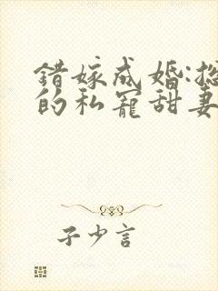 错嫁成婚:总裁的私宠甜妻