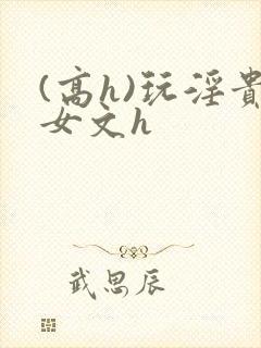 (高h)玩淫贵女文h