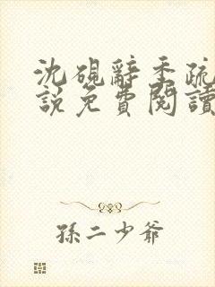 沈砚辞季疏桐小说免费阅读最新章节