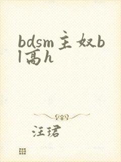 bdsm主奴bl高h