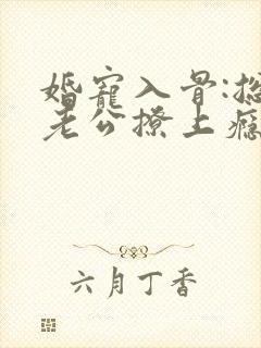 婚宠入骨:总裁老公撩上瘾